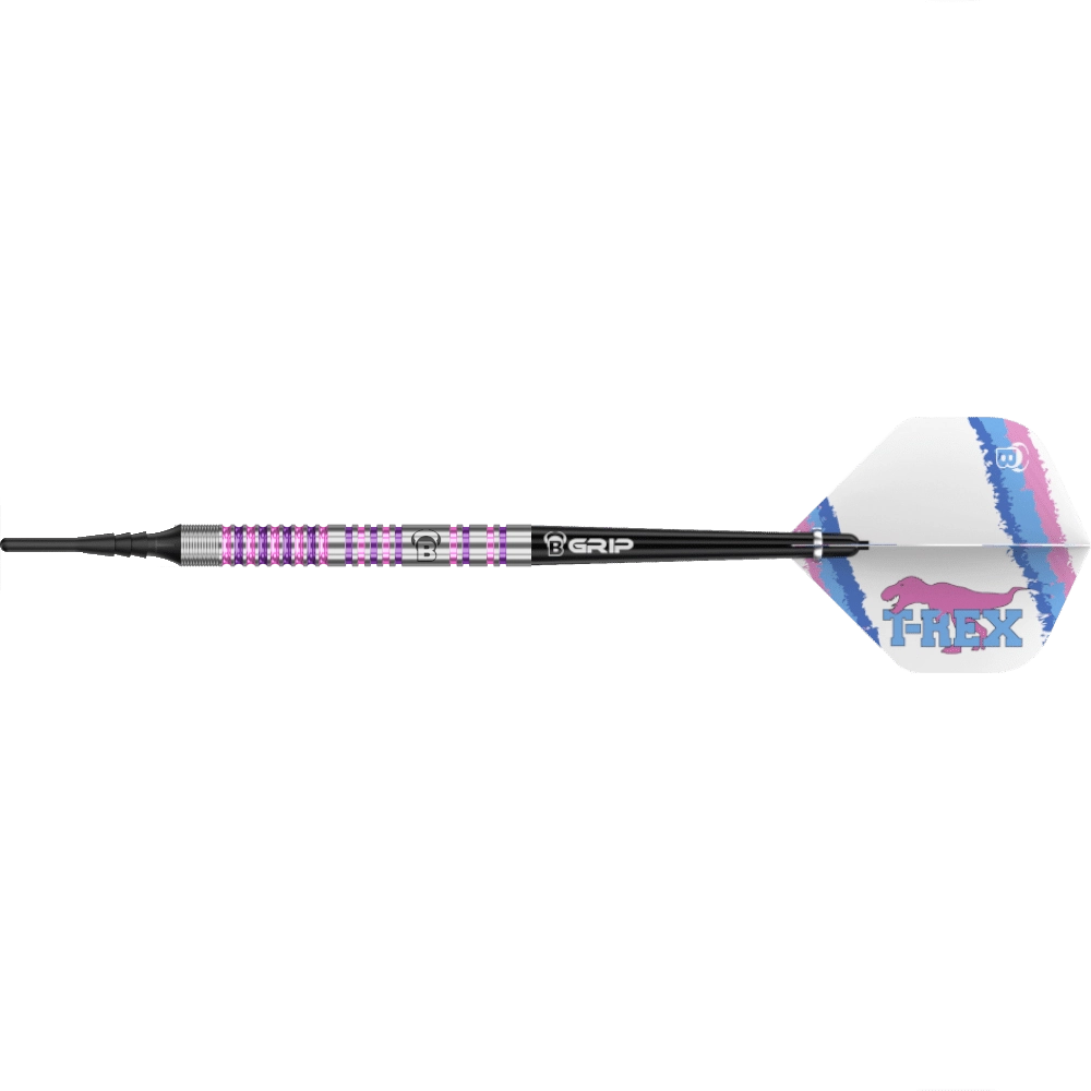 Bull's DE Michael Unterbuchner Challenger Softdart 90%
